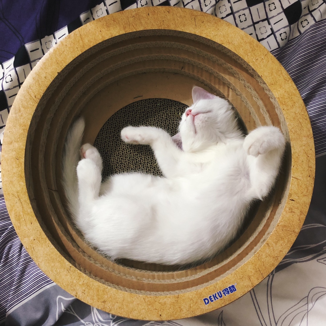 Cat scratching board claw grinder cat scratching column large round corrugated paper villa cat bowl cat litter cat scratching basin bowl-shaped cardboard