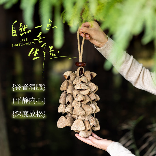 天然果壳手摇铃种子果实铃铛串装饰挂件音疗乐器多拉疗瑜伽冥想器
