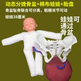 Школьный послеродовой корсет на тазовое кольцо для беременных, кукла