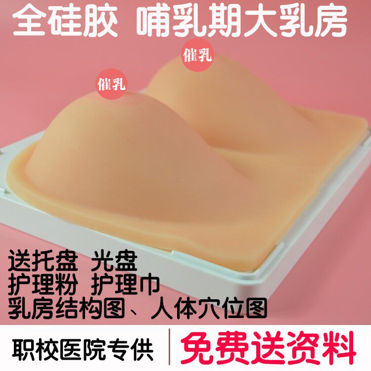 全硅胶哺乳期实心大乳房模型 催乳师催乳挤奶手法练习示范教具