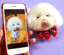 Wool felt simulation pet custom teddy bear pendant keychain realistic animal poke poke music DIY finished product