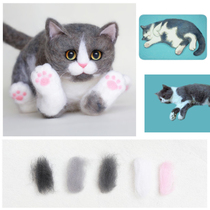 Qin Jie wool felt simulation pet cat dog 1:1 custom memorial full body doll decoration Poke poke music DIY
