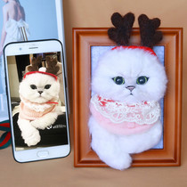 Wool felt simulation cat photo frame Custom pet full body doll ornaments Poke poke music Finished DIY animal model