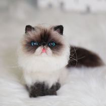 Wool felt Garfield DIY finished simulation pet micro landscape ornaments Poke poke music handmade plush doll custom