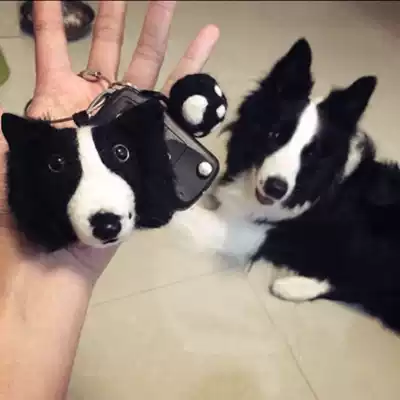 Handmade wool felt border collie men and women keychain simulation dog cat pet custom avatar DIY finished teddy bear