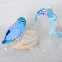 Handmade parrot ornaments decorative birds wool felt poke poke music Finished DIY creative birthday gift simulation pet