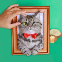 Wool felt finished product simulation pet Cat image custom photo frame decoration Poke poke music DIY finished product pure handmade