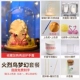 Firebird Dream Package