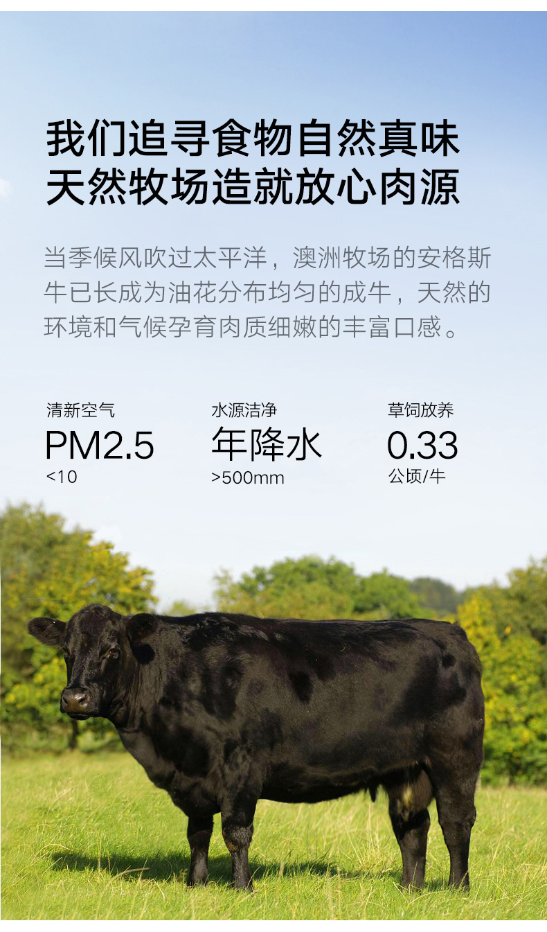 澳洲进口 顶诺 菲力/西冷牛排套餐100g*10片 独立真空包装 图15