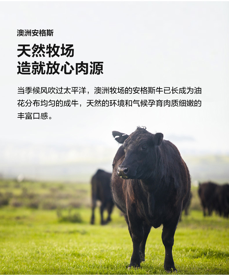 沃尔玛有售 澳洲进口 顶诺 整切板腱牛排 100g*10片 图2