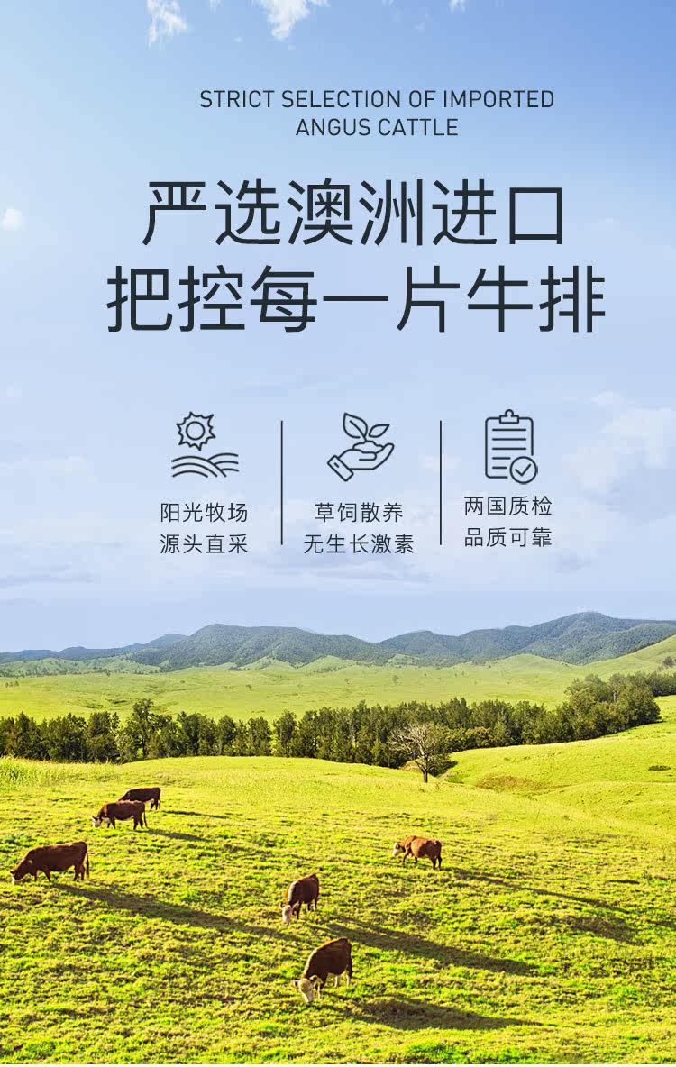 顶诺 澳洲进口 原肉整切牛排套餐 1300g/10片 图3