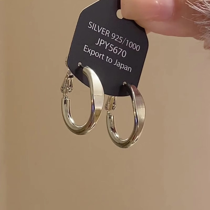 Minimalist Metallic Hoop Earrings 2025 New High-End Earrings Niche Unique Personality Temperament Earrings for Women