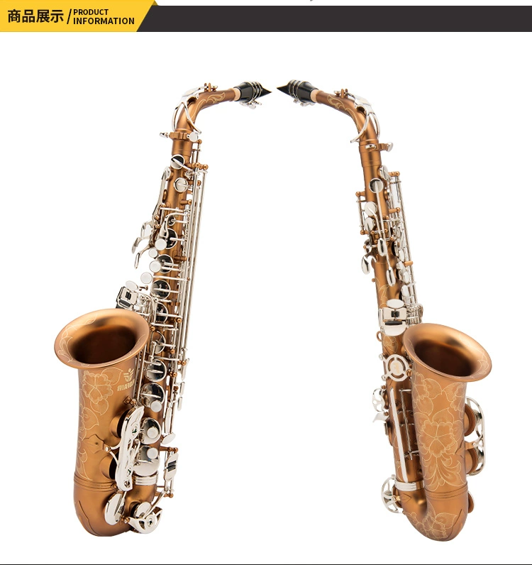 Nhạc cụ phương Tây màu nâu mờ nút mạ niken alto saxophone Kiểm tra hiệu suất E-dành cho người lớn FAS-861