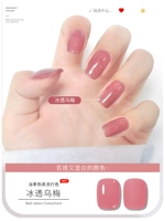 【Лед через черную сливу】