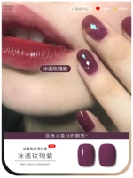 【Ice Rose Purple】