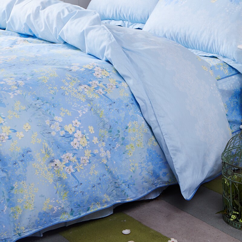 �㷢ȫ�ޱ���BT001