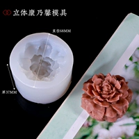 Stry -Dimensional Carnation