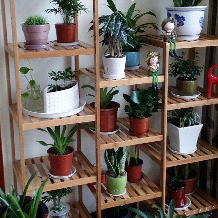 ��ͥ����㻨��