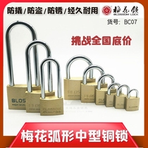 Plum Blossom Copper Lock Thin Medium Padlock Plum Blossom Lock Cabinet Lock Furniture Lock Luggage Lock 20 25 30 35 45 55