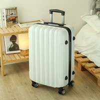 Элегантный белый 【прямой пункт】