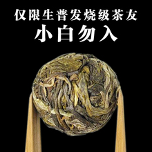 Icelandic Pu'er tea, aged over 400 years per tree in the south, Yunnan Lincang ancient tree, Dragon Ball tea, used to be scraped back in oil