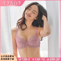 Large size lace sexy sponge-free ultra-thin bra cover large chest small gathering thin mold cup adjustment underwear