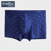 [60S Pima cotton] Quần lót Jinlilai nam kháng khuẩn thoải mái boyshort eo đồ lót thanh niên boxer quần sịp doremon