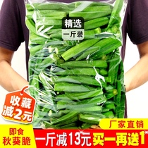 Dried okra 500g fruits and vegetables crisp ready-to-eat bagged dehydrated vegetables simply sliced pregnant women casual snacks A pound baked