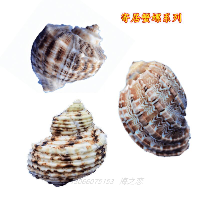 Red Rock Screw Screw Screw Fish Cover to avoid aquarium fish tank setting bubble water natural screw