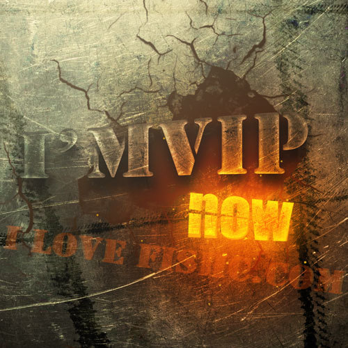 【Vip Supreme Membership】Fish C Forum Vip Lifetime Membership, One-Time Support for Lifelong Learning!