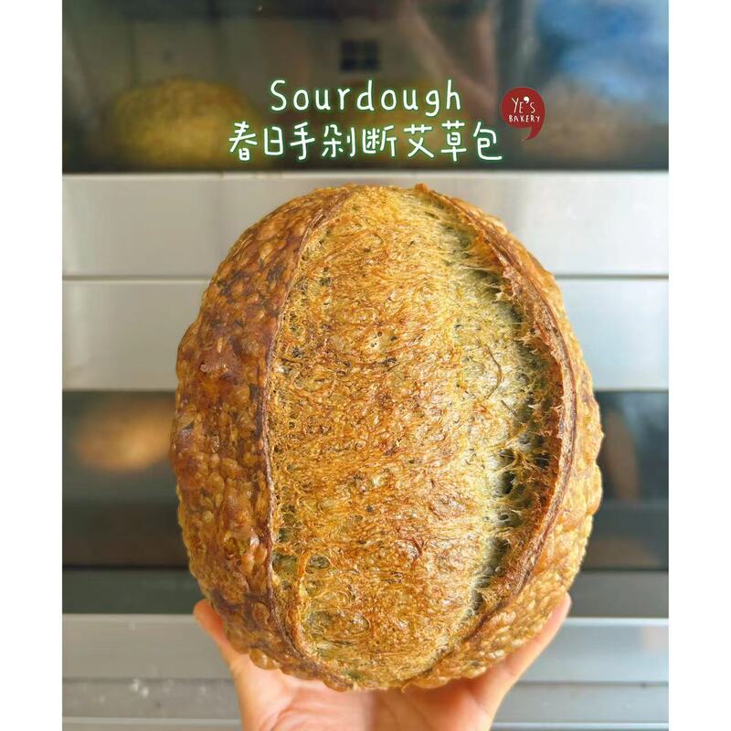 Oil-Free Sugar-Free Sourdough Spring Fresh Mugwort Chewy Sour Bread Meal Replacement Leaf Bread Bakery