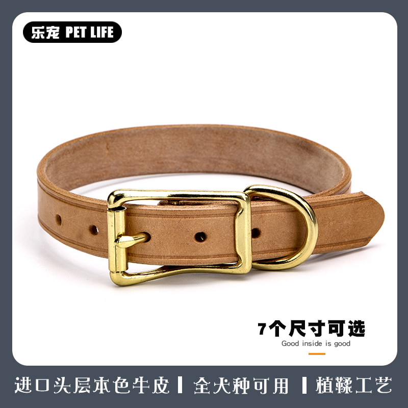 Dog collar pet, dog collar, cowskin neck, adjustable medium and large dog gold hair brador neck ring