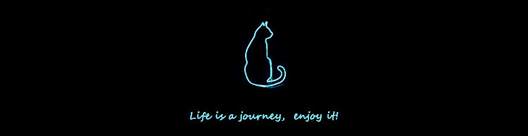 Bague mixte 1000SE en Argenterie - Ref 3088336 Image 16