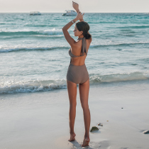 Swimsuit female one-piece sexy triangle ins wind small chest gathered hot spring conservative cover belly thin Korean fashion swimsuit