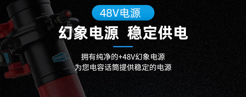 товар из китая расположение/аса создать rd501 профессиональный одноканальный микрофонный усилитель рабочего стола основной микрофон усилитель Alctron/RD501