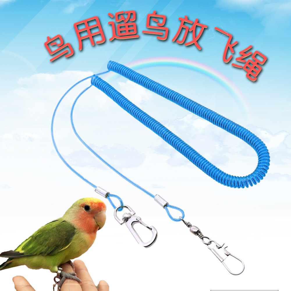 Parrot frisking out bird's rope Anti-bite out of the eight Gothic Ovens The Anchovy Tiger Leather Peony Training Flight Foot Necklace Light