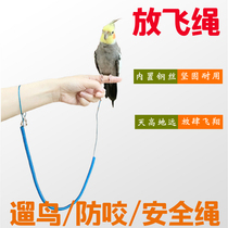 Parrot Fling Flying Bird Rope Outdoor Walking Bird Ware Tiger Leather Out Flying Rope Stretch Traction Rope Stainless Steel Feet Ring