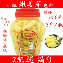 Sugar Vinegar Tender Ginger Bud Fresh and Bottled Paparazzi Ginger Dental Bubble Ginger Tender Buds Ginger Tung sauce