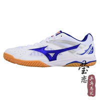 81GA196027 Белый и синий Специальное предложение оформление