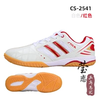 CS-2541_BAIHONG