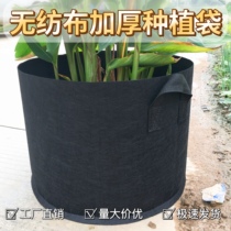 Sac de plantation non tissé noir Thickened Gallon Bag Plantation Bag Beauty Planting Bag Nutrition Nursery graine de pépinière Légumes Pot Fleur Pot