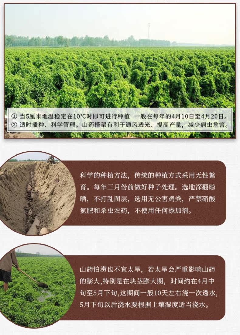 _ 装 垆 垆 垆 _10.jpg