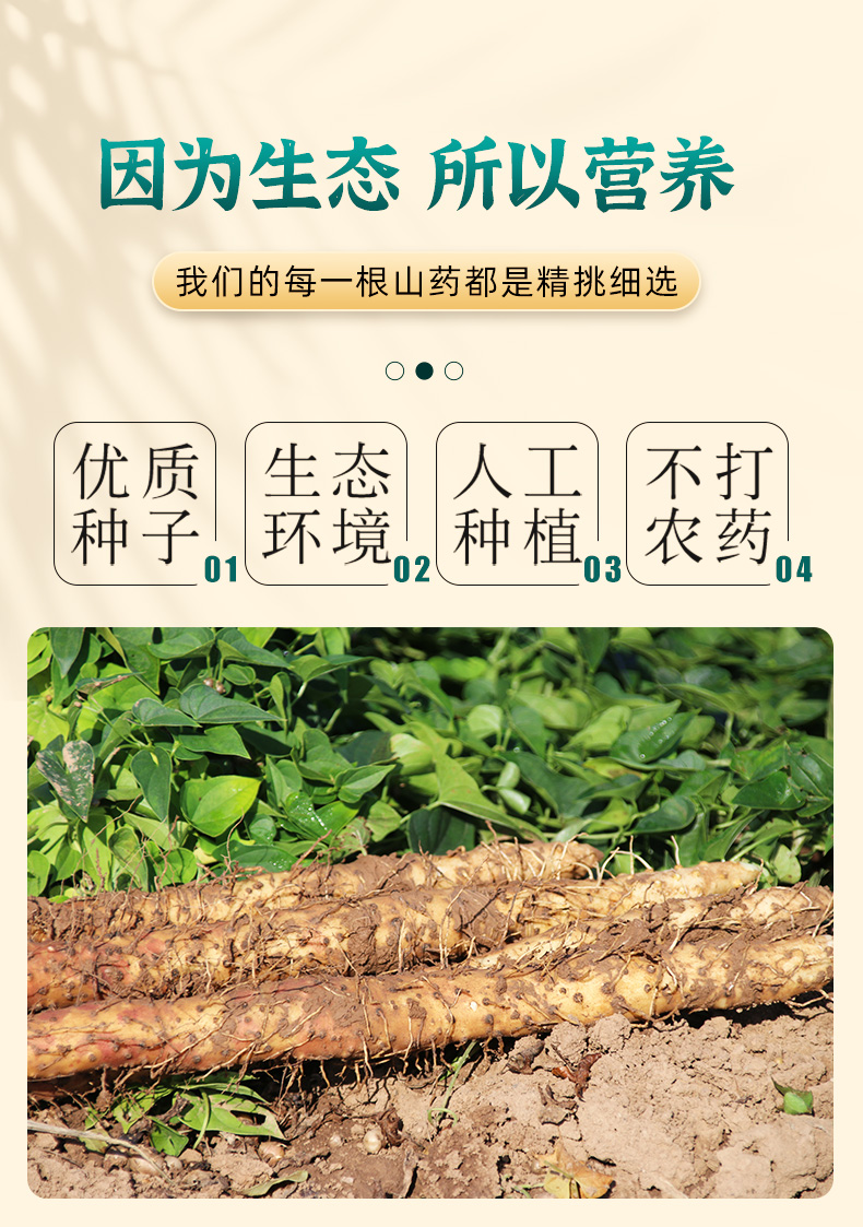 【怀府农庄】河南焦作温县垆土怀山药粉