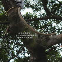 Simulation tree rattan cable wire tube imitation rattan protective casing empty core rattan tube tree Vine threading tube decorative tree Vine tube