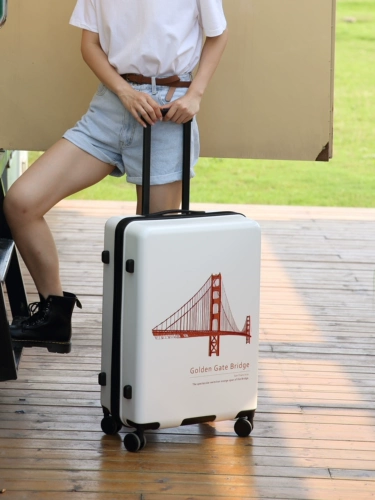 Чемодан подходит для мужчин и женщин, 2024 дюймов