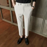 Штаны, пиджак классического кроя, осенние