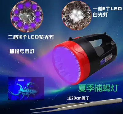 LED rechargeable flashlight strong light headlight headlight headlight scorpion lamp Violet portable lamp plastic flashlight
