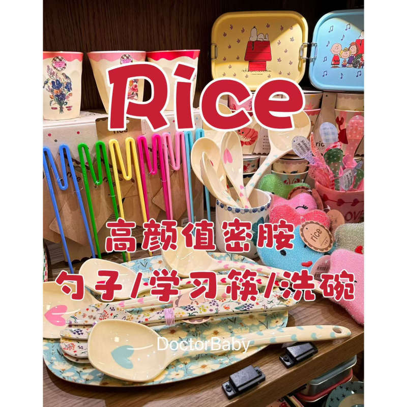 Chopsticks/Spoon Niche Product Rice Melamine Acrylic Latte Spoon Tea Spoon Learning Chopsticks Dishwashing Cloth
