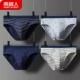 Nam Cực đồ lót nam boxer cotton gợi cảm lỏng lẻo quần short bốn góc đầu mùa hè mỏng phần thoáng khí mùa hè - Nam giới