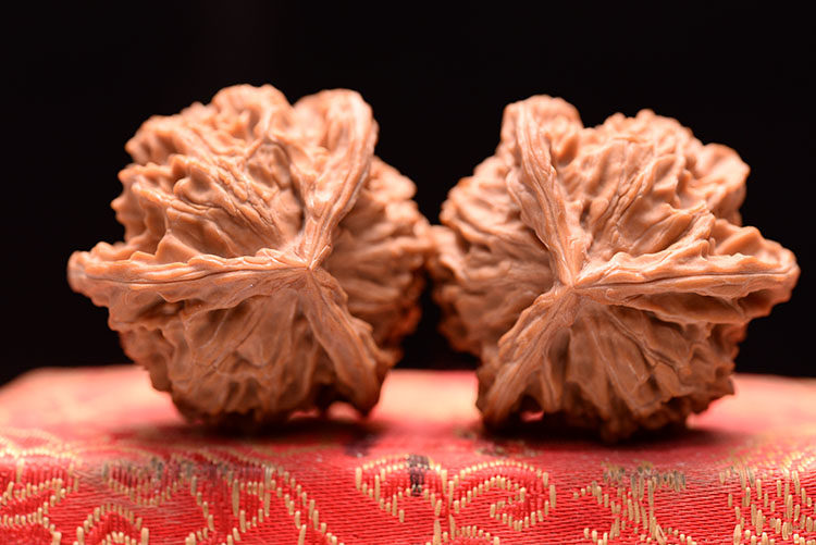 Walnut is 39 boutique collection head Lion cap handle playing wild shape ambiguous